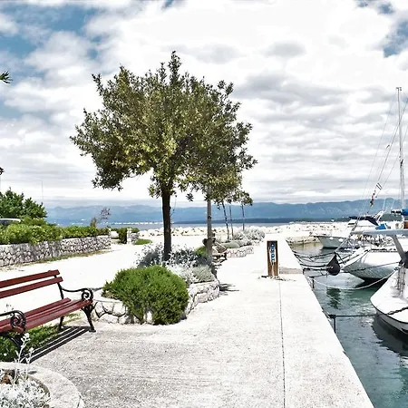 Blue Dream 马林斯卡