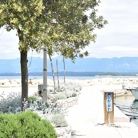 Blue Dream * Малинска